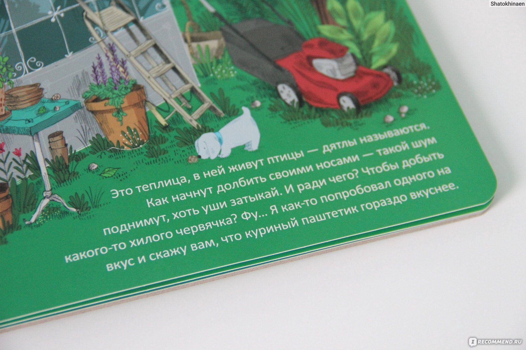 Прогулка по саду. Камилла Гарош - «Уже 2 года книга ждёт своего часа. И ещё  столько же подождёт. » | отзывы