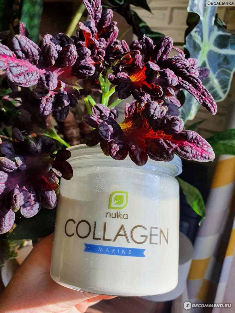 Коллаген Nulka Collagen marine гидролизованный рыбный морской - «🐠 ...