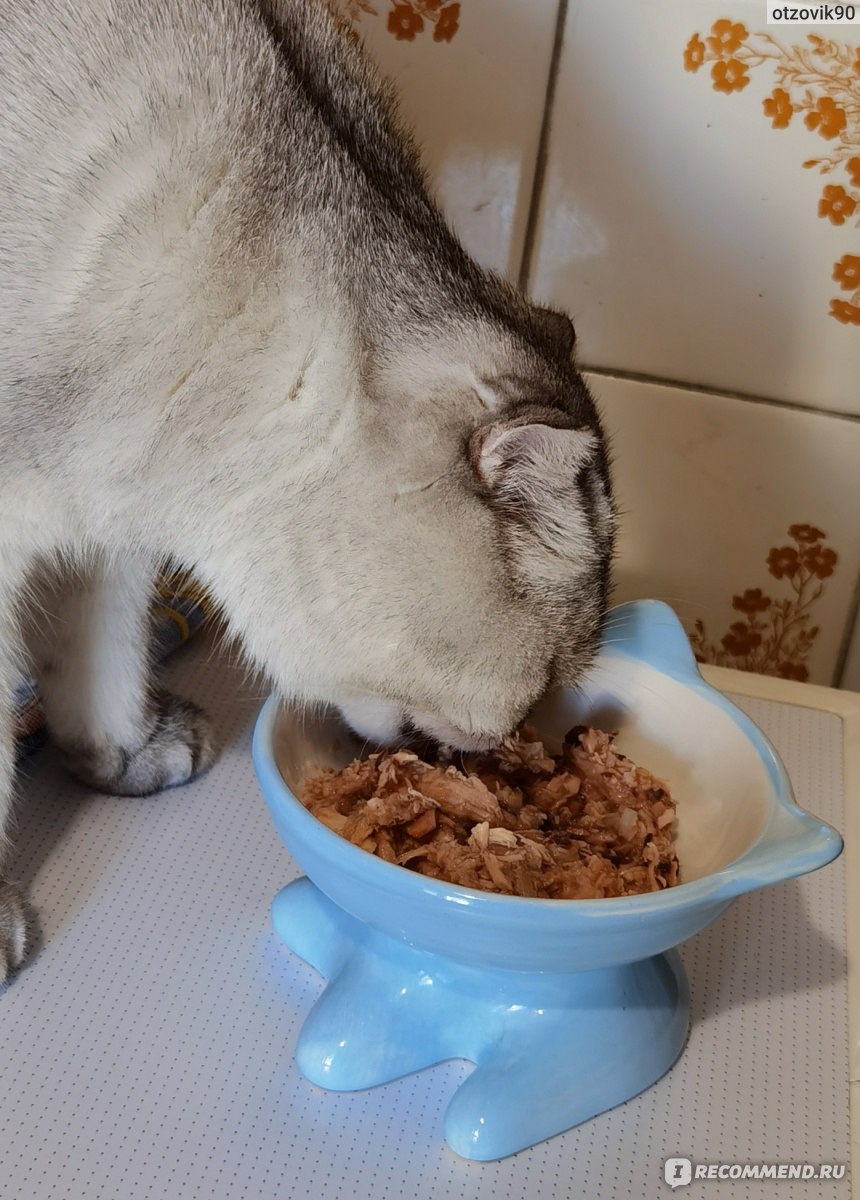 Влажный корм для кошек Monge Natural с тихоокеанским тунцом и лососем ...