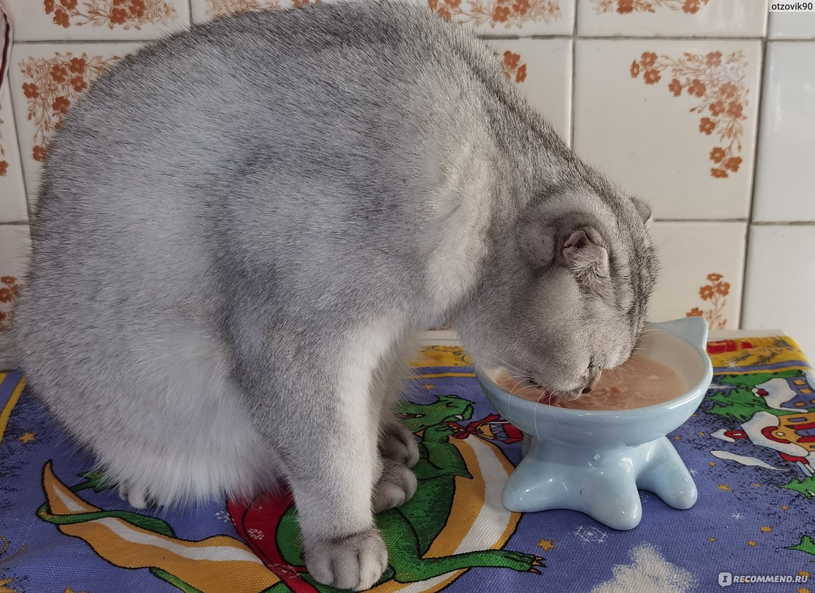 Корм для кошек INABA CIAO Toromi Куриное филе с тунцом Магуро и гребешком в сливочном бульоне фото