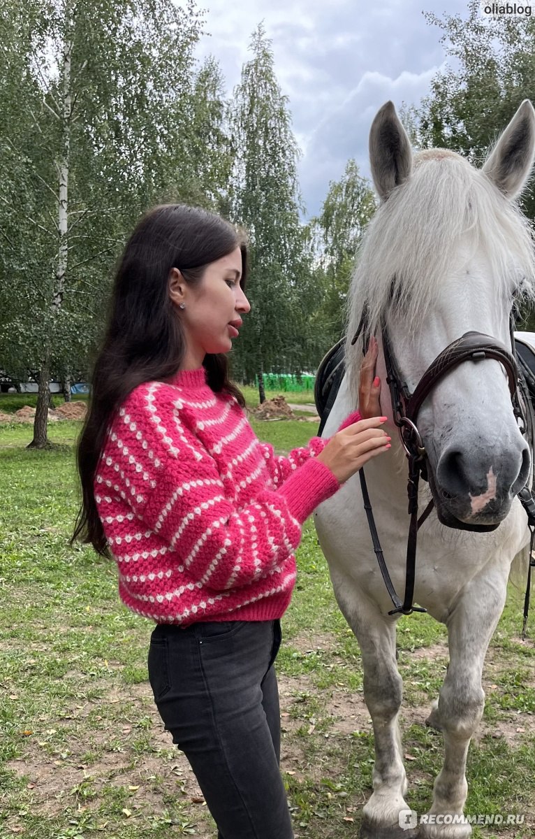 Конный спорт - «Как заниматься конным спортом бесплатно❤️Моё прекрасное  хобби, покажу лошадок, расскажу, как можно начать🥰» | отзывы