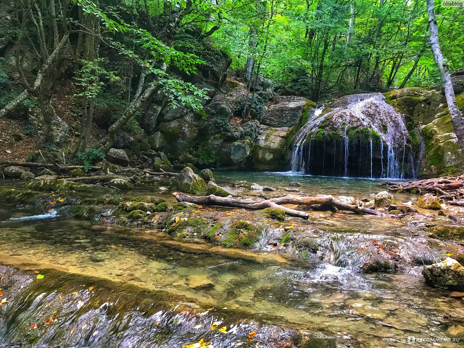 Водопад Джур-Джур, Крым - «Самая продаваемая экскурсия в Судаке 😻 Буковый  лес, ванна молодости и водопад высотой с пятиэтажный дом » | отзывы