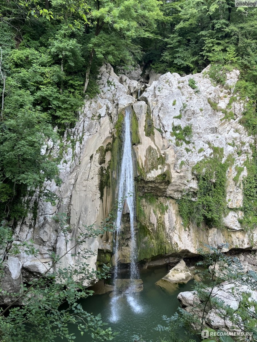 Россия Краснодарский край, Сочи, Агурские водопады - «✨ Растения красиво  спускаются со скал, разбавляя их серость своими яркими оттенками. Раздается  шум потоков и даже в самый жаркий день ощущается приятная прохлада. Летом