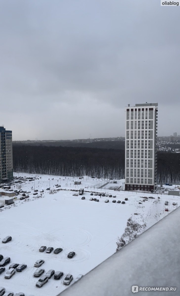 Жилой комплекс «Цветы», Нижний Новгород - «Быть прописанной в квартире за  10 млн, но скитаться по съёмным🌚Люблю Нижний Новгород за зарплату в 30  тысяч и арендные квартиры в 40 тысяч😅» | отзывы