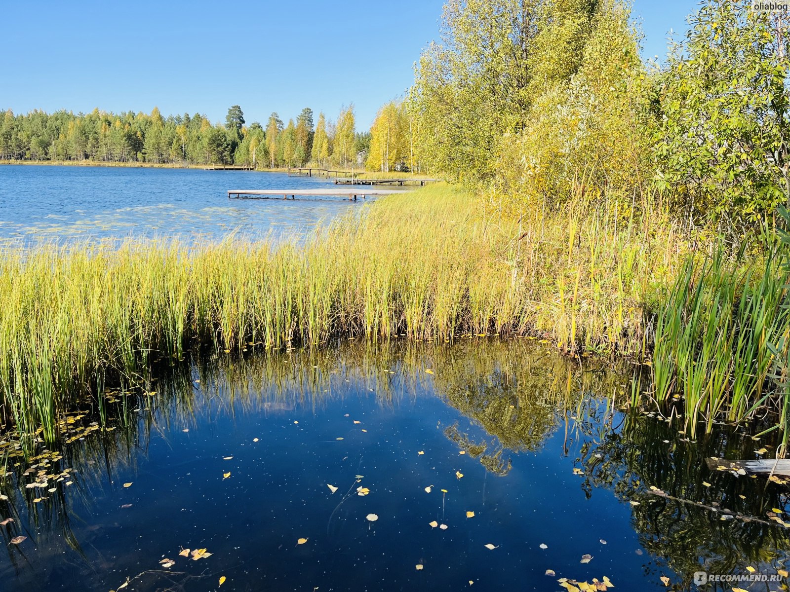 лесной курорт краснобаковский район