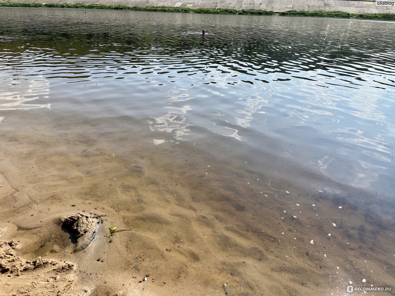 Пляж Гребного канала, Нижний Новгород - «Самый любимый пляж Нижнего🏖 Где  отдыхают нудисты и что можно увидеть🤭Сюда даже телеканалы приезжают  снимать ЖАРКИЕ РЕПОРТАЖИ 🔥» | отзывы