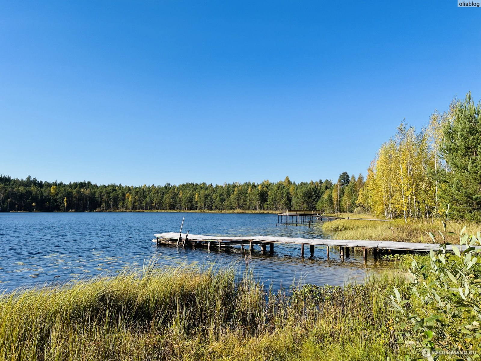 лесной курорт краснобаковский район