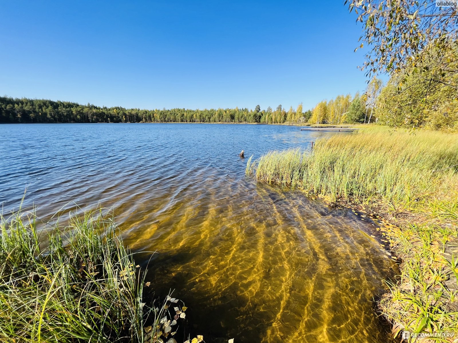 лесной курорт краснобаковский район