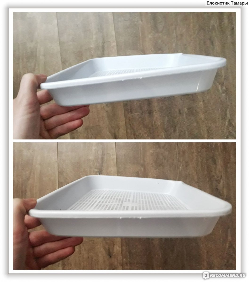 Поддон для выращивания микрозелени. Bean Sprouts Double-layer Dishes Plate Seedling Tray Plastic Hydroponic Flower Basket Flower Plant Home Garden Nursery Pots фото