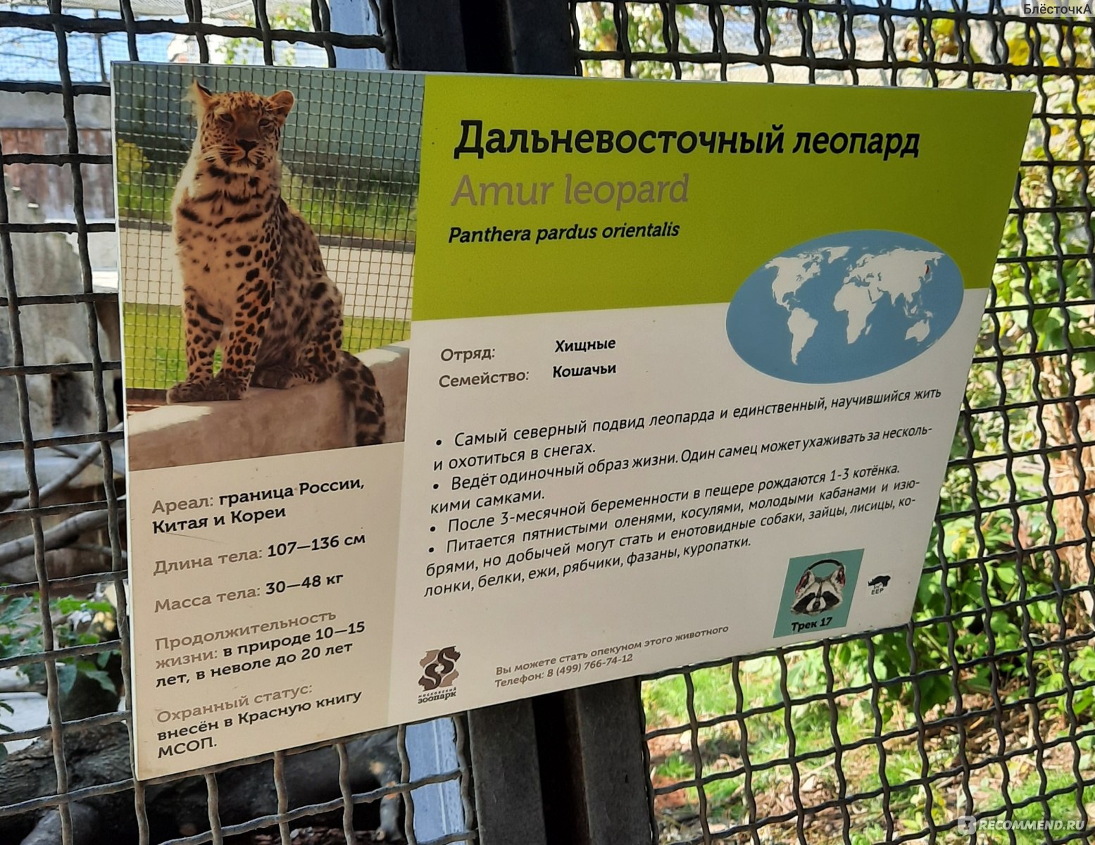 московский зоопарк описание