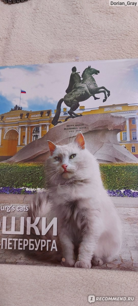 Коты Петербурга Магазин