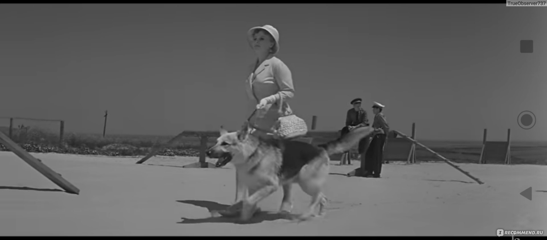 Ко мне, Мухтар! (1964, фильм) - «Одна из моих любимых ролей Юрия Никулина.  Самая популярная собачья кличка после выхода фильма «Ко мне, Мухтар!»» |  отзывы