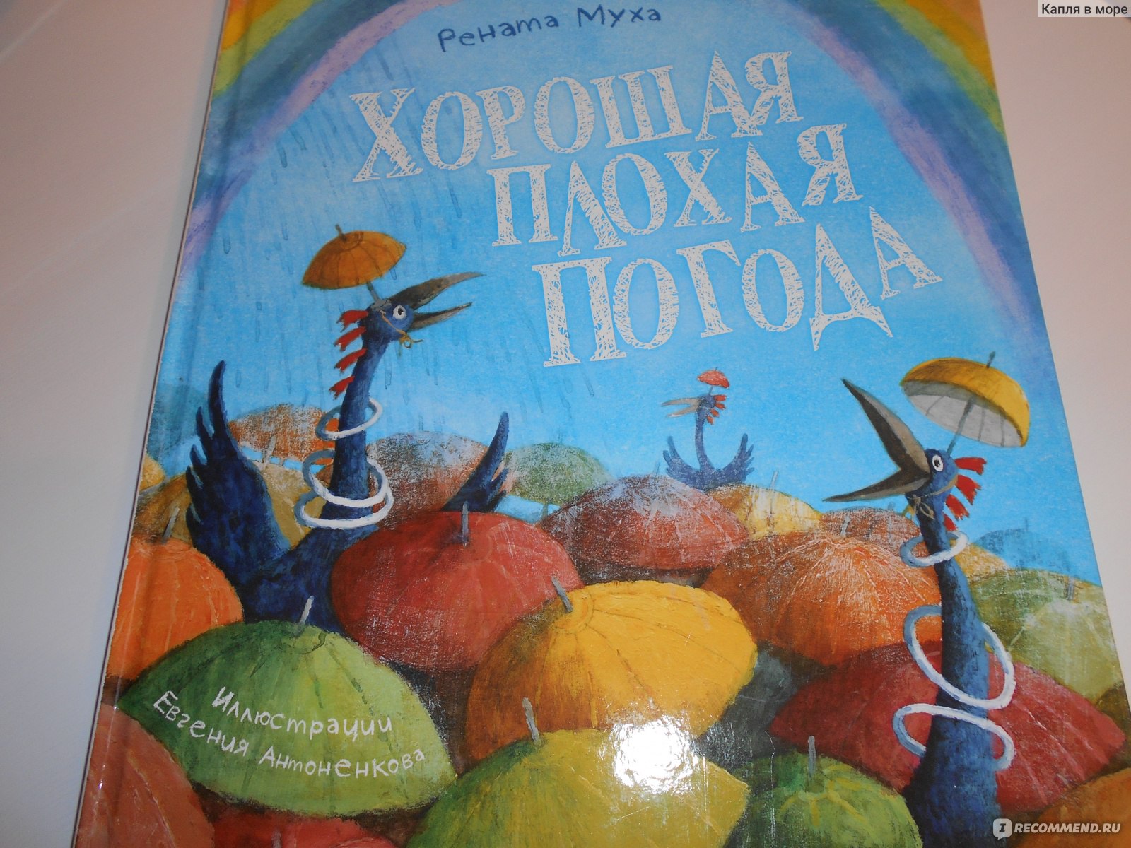 Хорошая плохая погода. Рената Муха - «Может ли плохая погода быть хорошей?  И что делать, если в квартире у таракана завелись люди? Развиваем у детей  чувство юмора и творческий взгляд на жизнь.» |