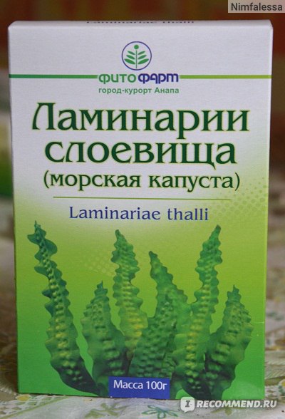 Порядок Ламинарии