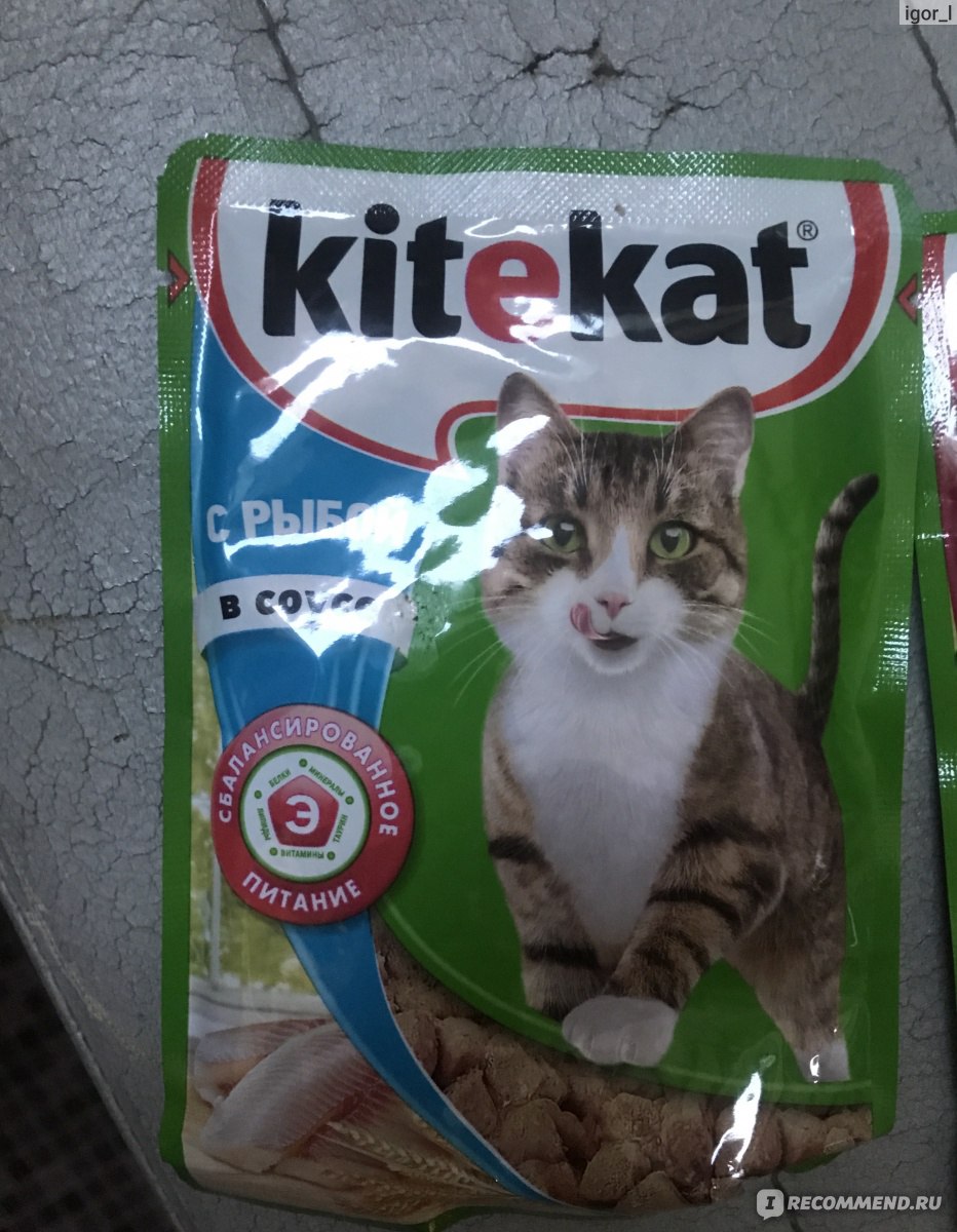 Kitekat с рыбой в соусе