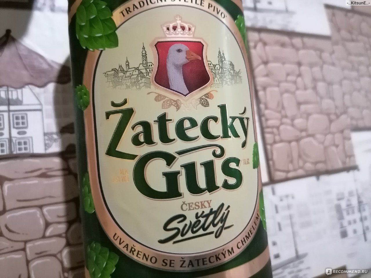 Пиво Балтика Zatecky Gus - «За любовь, родная! Немножечко о том, как  опустился гусь, какой он на вкус и с чем лучше его пить🍻» | отзывы