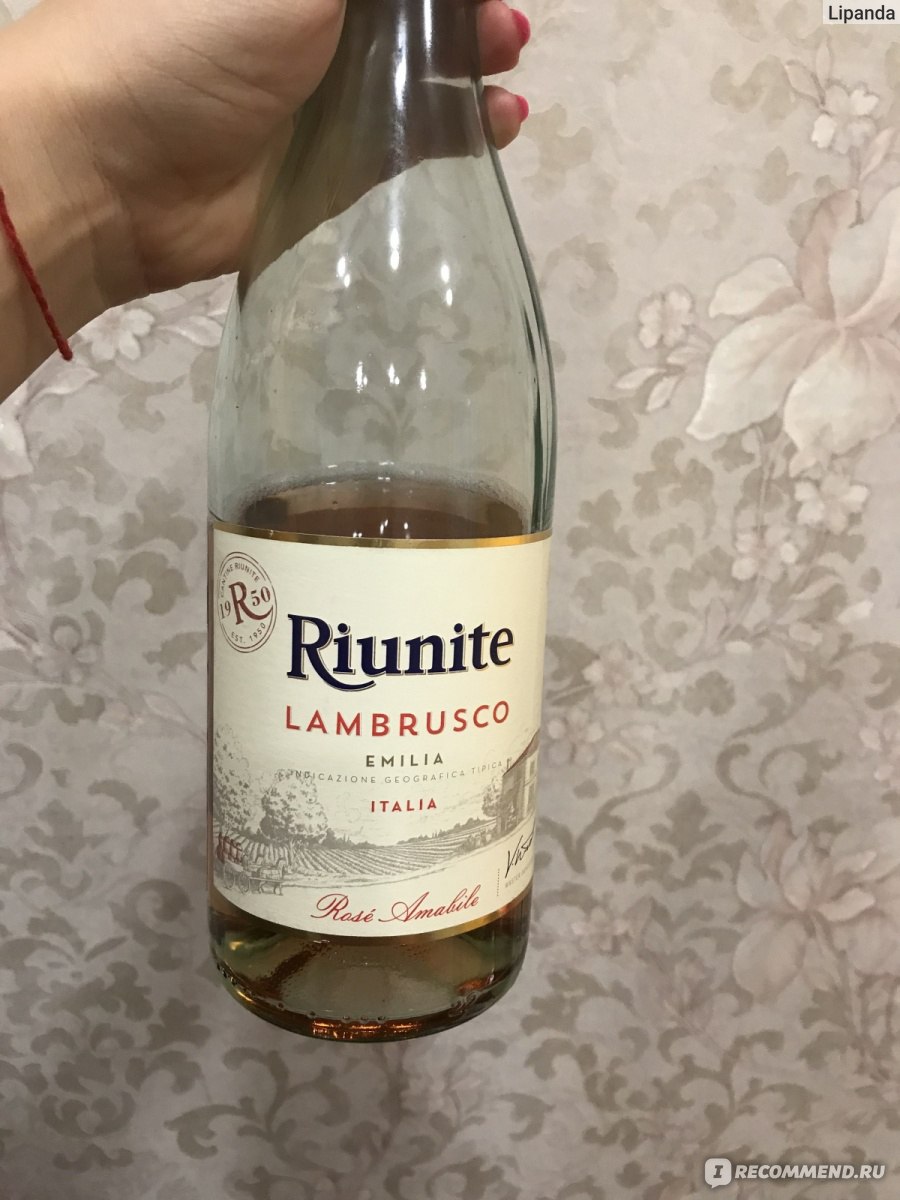 Ламбруско розовое цена. Шампанское riunite Lambrusco. Вино игристое Ламбруско riunite розовое. Вино Риуните Ламбруско Розе. Вино розовое полусладкое riunite.