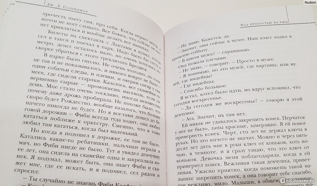 Пропасть отзыв. Над пропастью во ржи обложка.