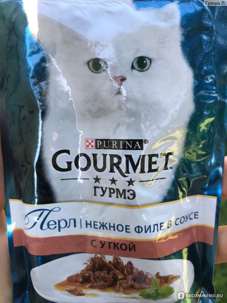 Корм для кошек Gourmet Perle Утка, 85 гр - «Находка в питании: что сказал  ветеринар? » | отзывы