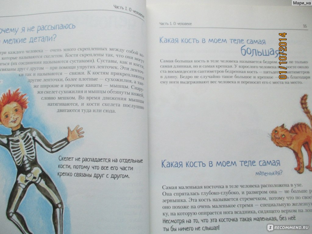 Шпаргалки для родителей. Ответы на детские вопросы. Ефременко Н В, Журкина  Ю В, Подчуфарова Н В - «Эта книга поможет родителям грамотно и доступно  ответить на все детские вопросы!» | отзывы