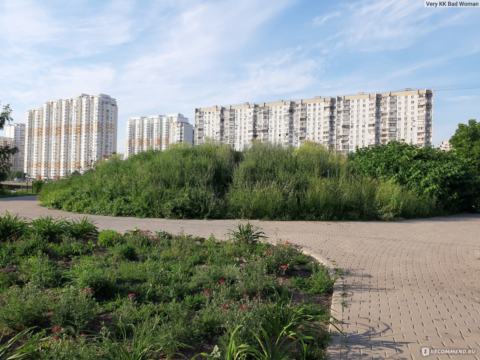 Ландшафтный парк Митино, Москва - «Парк рядом с метро где можно отдохнуть  взрослым и погулять с детьми.» | отзывы