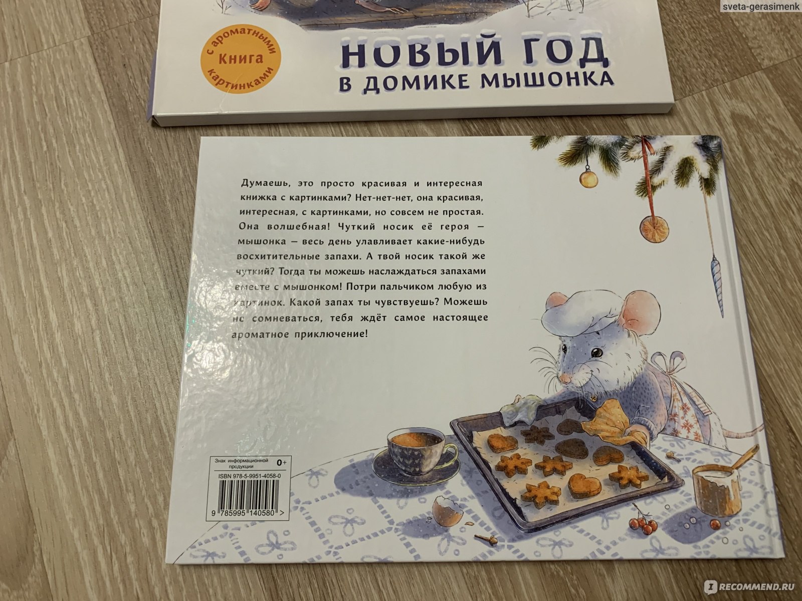 Новый год в домике мышонка книга с ароматными картинками