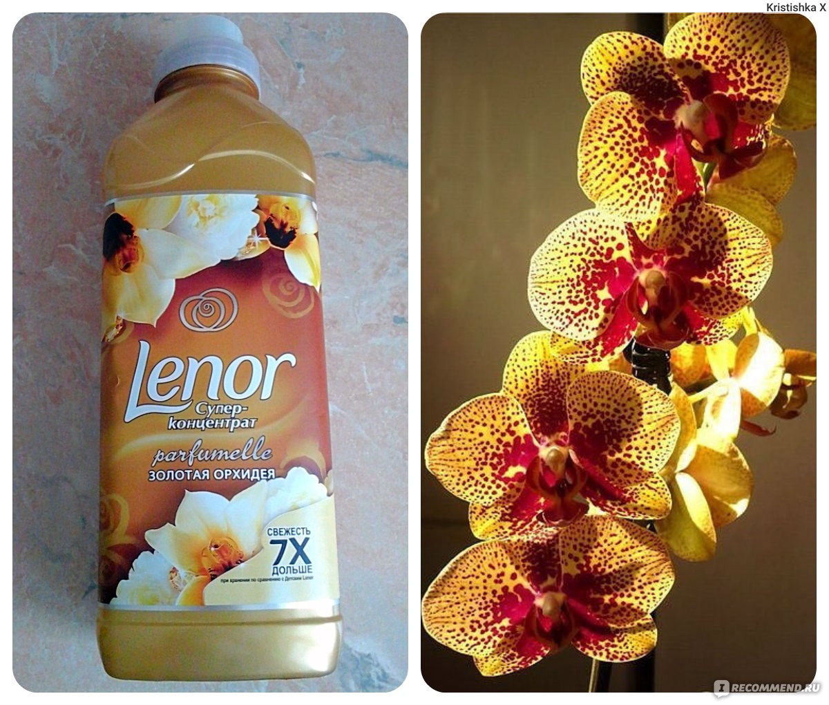 Кондиционер для белья ленор золотая орхидея