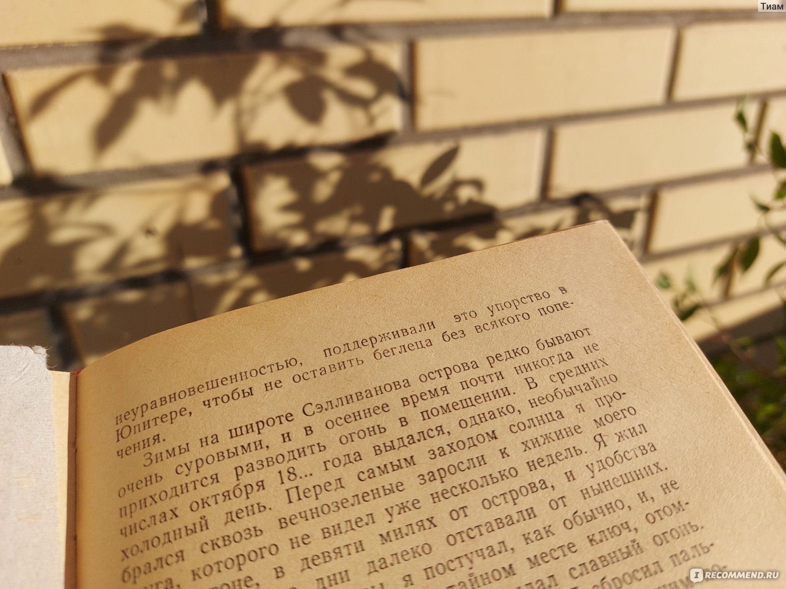 Прыг-Скок. Эдгар Аллан По - «Гнетущая атмосфера средневековья. Калека,  карлица, месть, убийство. Моя любимая винтажная книга)» | отзывы