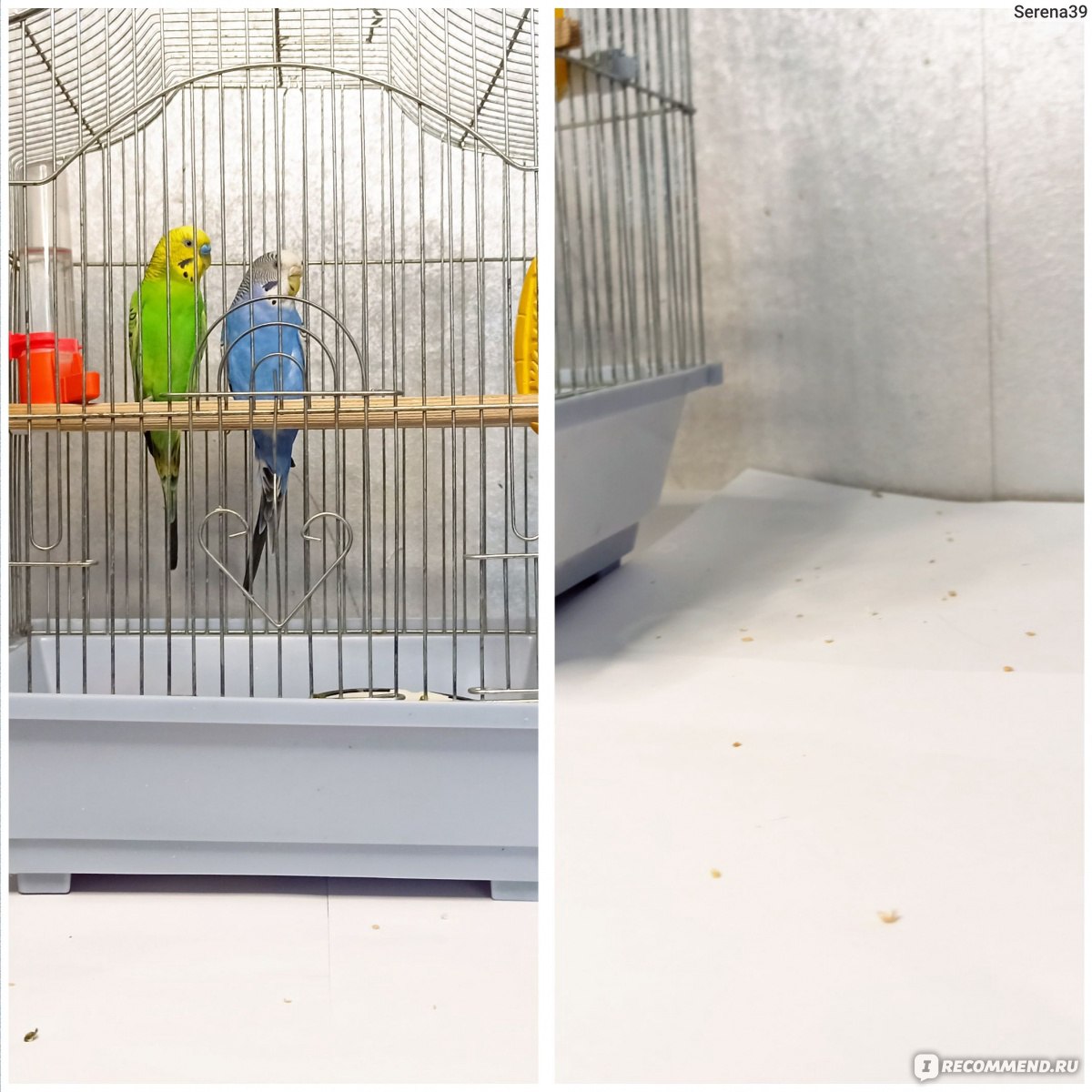 Сетка для клетки птиц Aliexpress Nylon mesh bird cage, skirt cover, Easy  seed cleaning, bird protection, bird cage, accessories, parrot Air net,  bird cage - «Не хотите заводить попугаев потому, что от