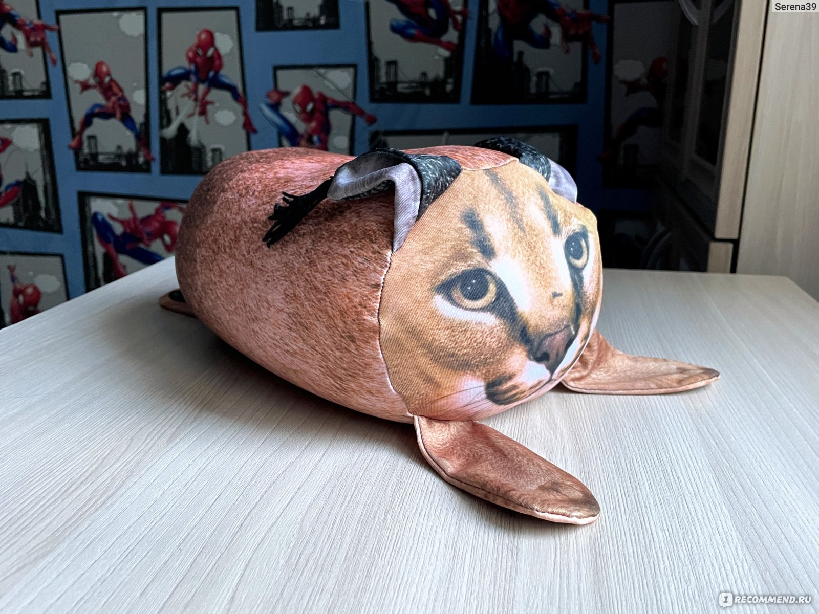 Забавный кот из ткани