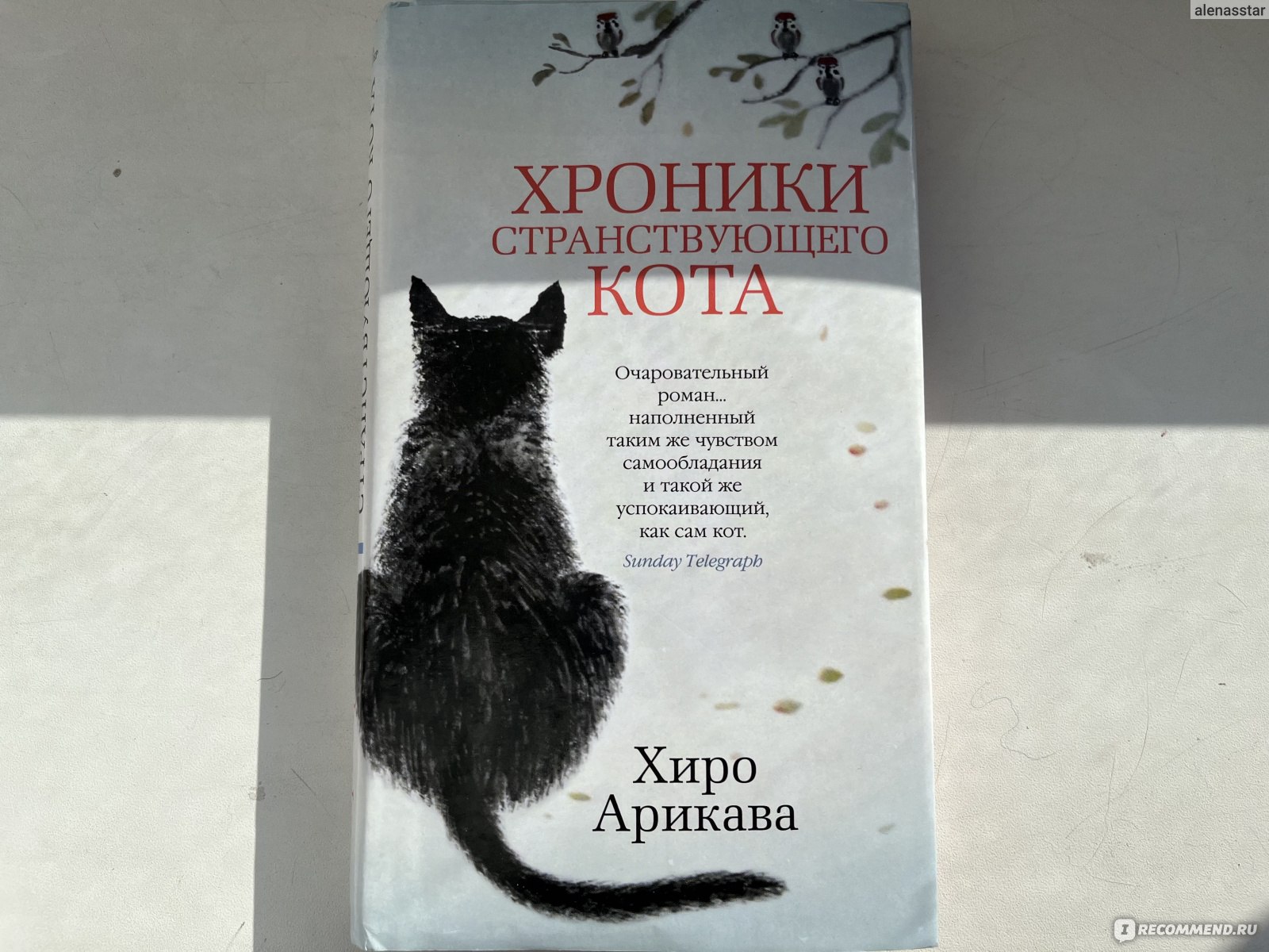 Кот отзывы. Хиро Арикава хроники странствующего кота. Хроники странствующего кота Хиро Арикава книга. Хроники странствующего кота фильм. Хроники странствующего кота Хиро Арикава цитаты.