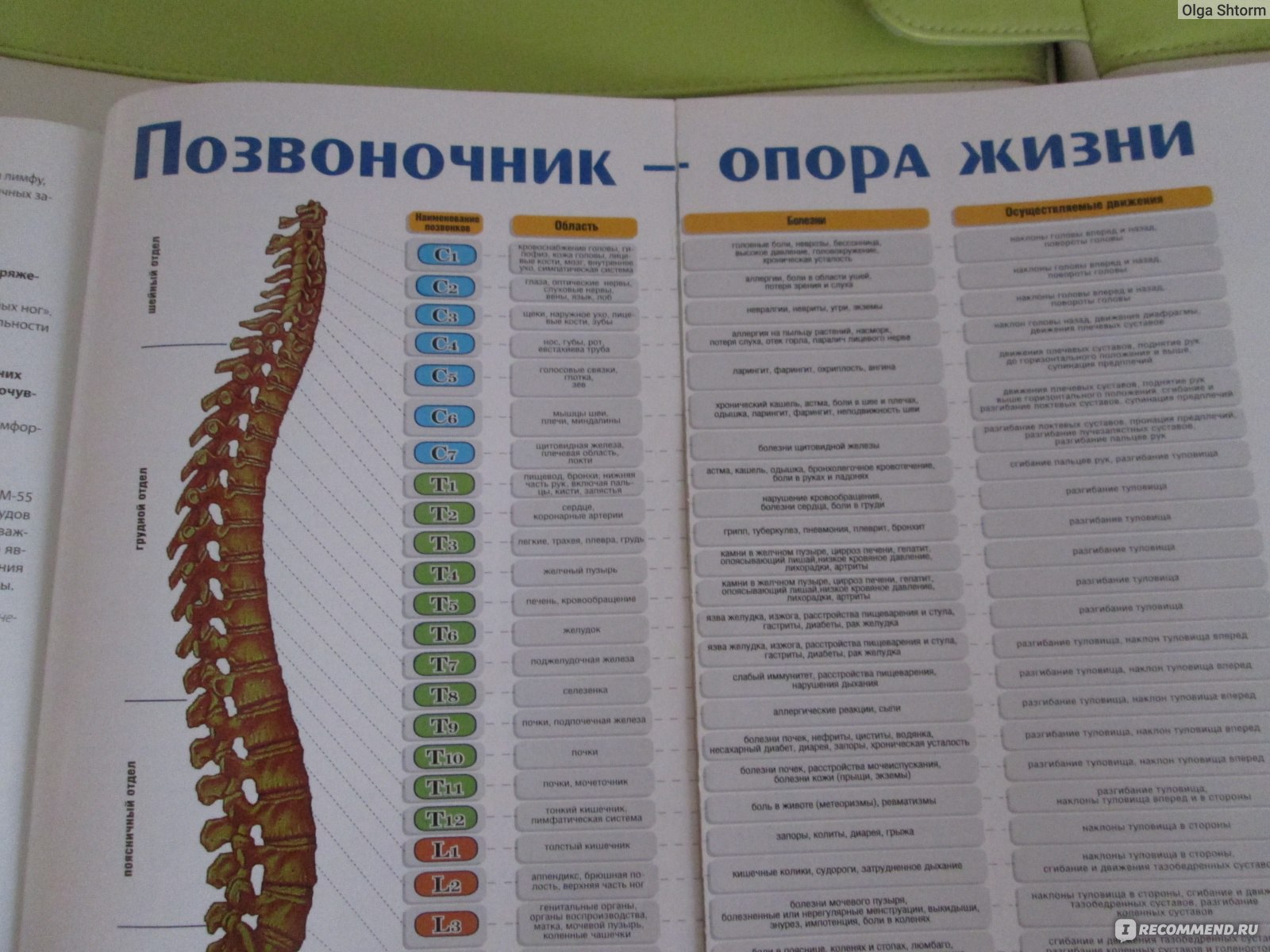 Нуга бест кровать при грыже позвоночника