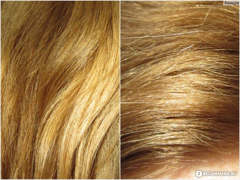Медовый цвет волос и его оттенки: фото