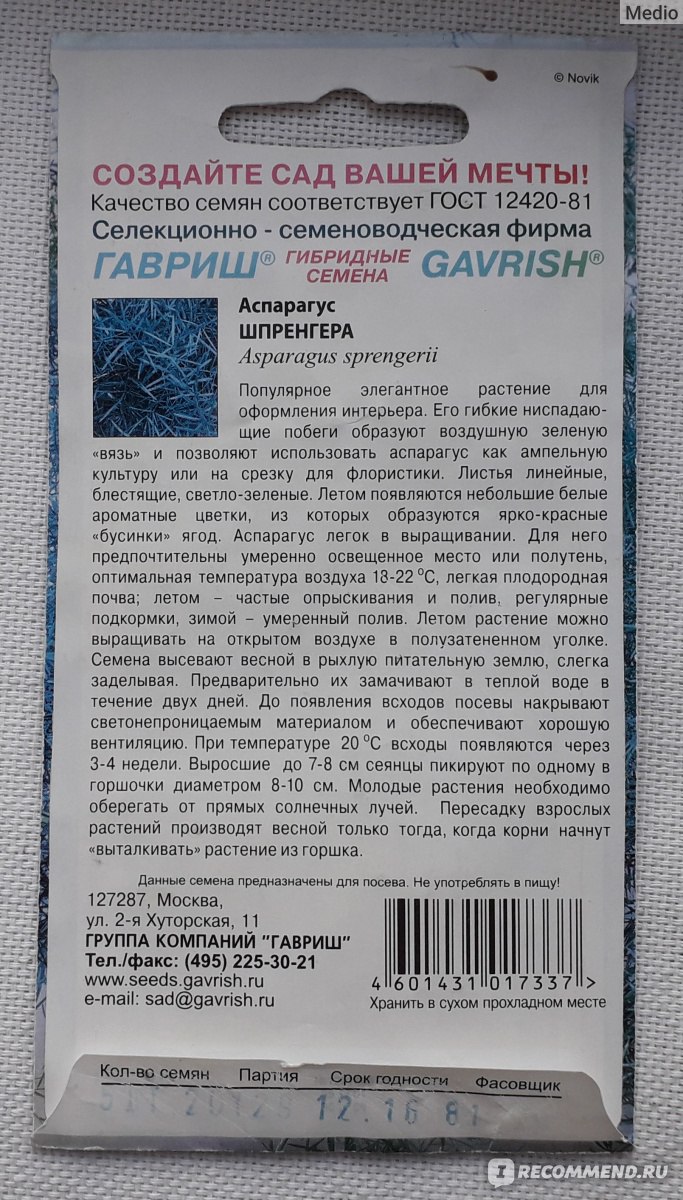 Семена Гавриш аспарагус Шпренгера - «Неприхотливое изящное растение.  Аспарагус Шпренгера спустя 2 года после посева» | отзывы