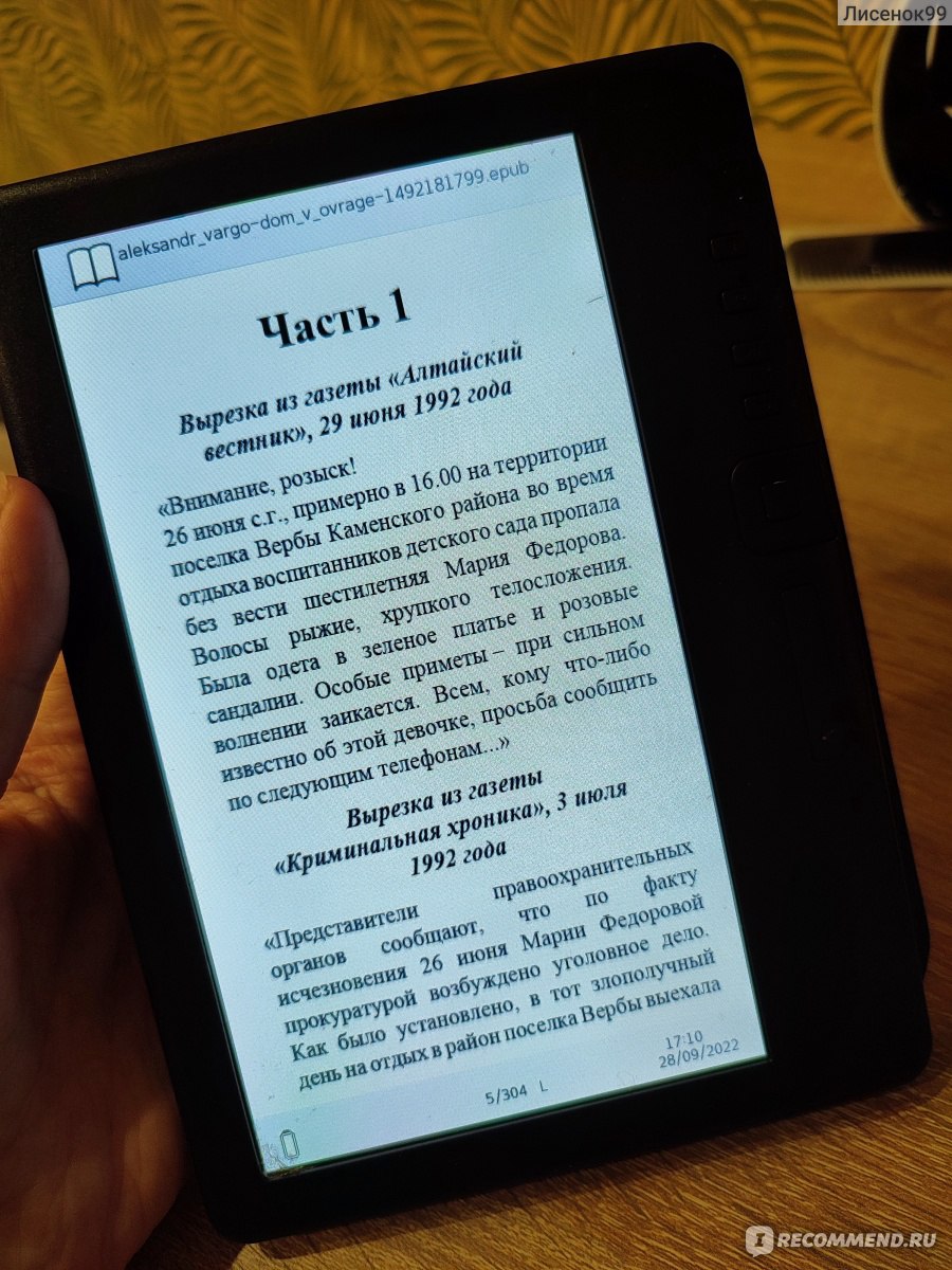 Дом в овраге, Александр Варго - «Клоун-инквизитор? Такое мы читаем) Александр  Варго 