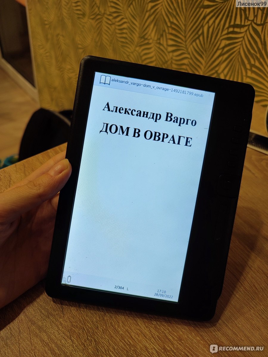 Дом в овраге, Александр Варго - «Клоун-инквизитор? Такое мы читаем) Александр  Варго 