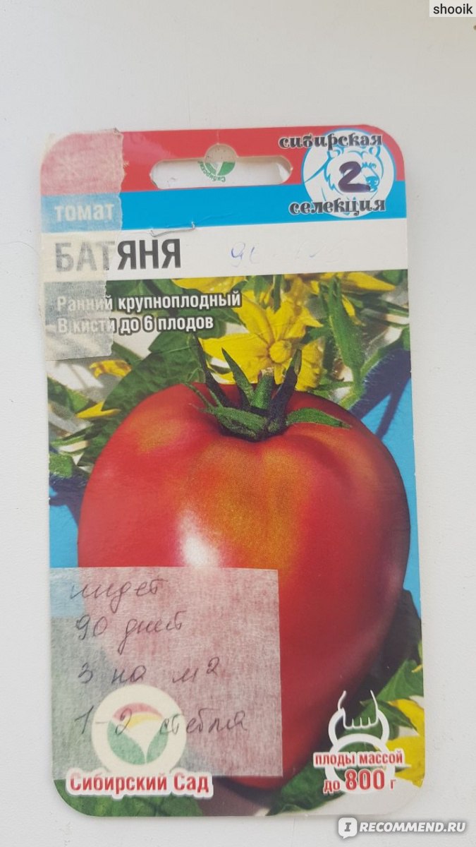 Как выбрать сорта томатов для открытого грунта
