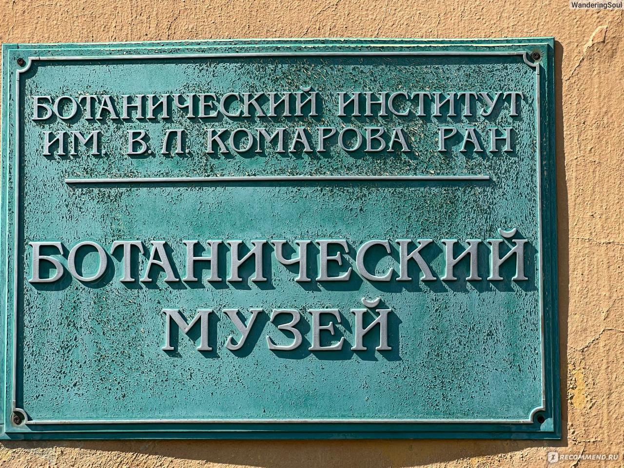 Ботанический сад, Санкт-Петербург - «Яркие краски Петербурга. 🌸 🪻 🌼  Отзыв о посещении Ботанического сада в июне + тропическая оранжерея. » |  отзывы