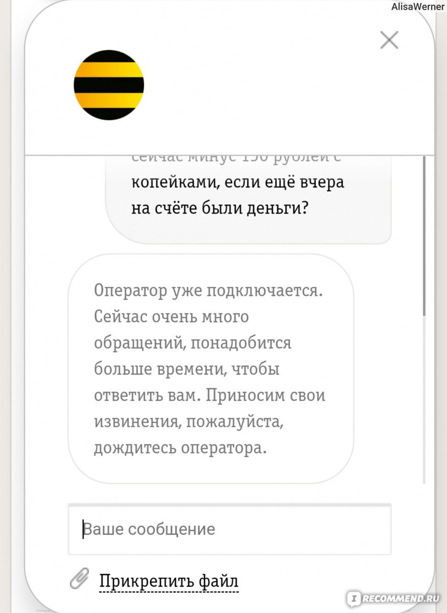 Операторы мобильной связи Билайн - «❌Как обманывает Билайн. Пропавшие  деньги со счёта, платные услуги, и прочие 