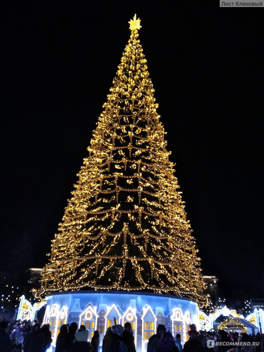елка в белгороде 2023 на площади