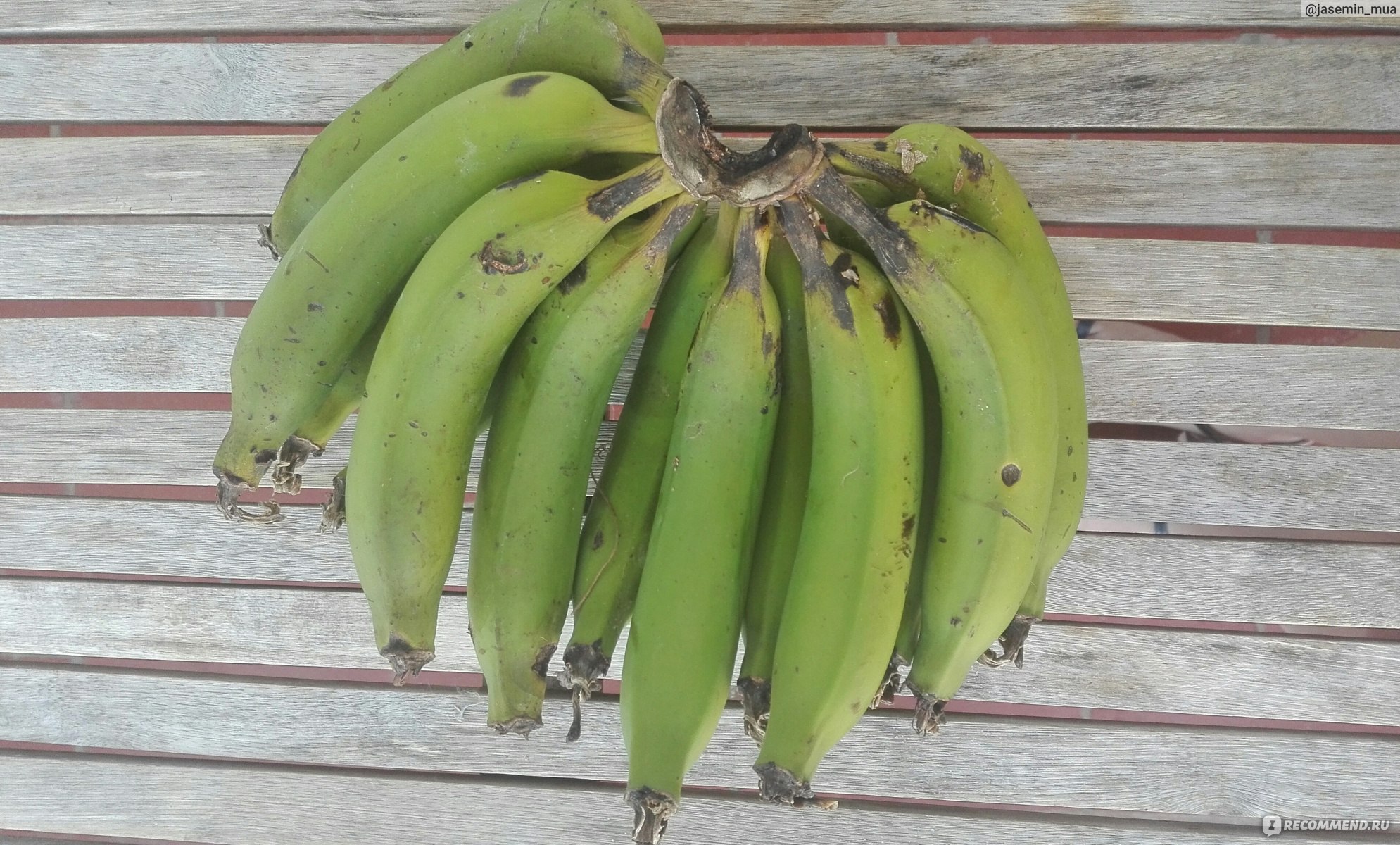 Можно есть зеленые бананы. Платан зеленый банан. Зеленые Плантаны. Зелёные бананы вид. Чем полезны зеленые бананы.