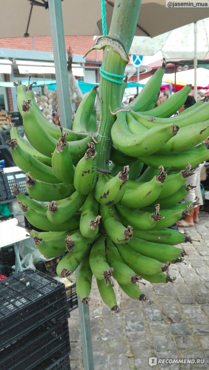 Бананы для жарки – Что с ними делать?