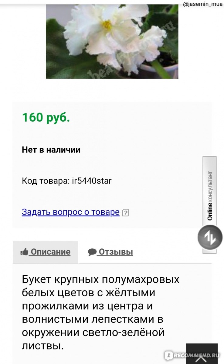 Российские Цветы Рф Интернет Магазин Отзывы
