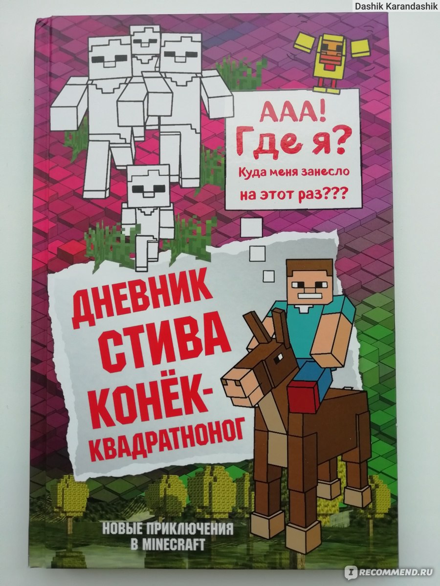 Книга дневник стива