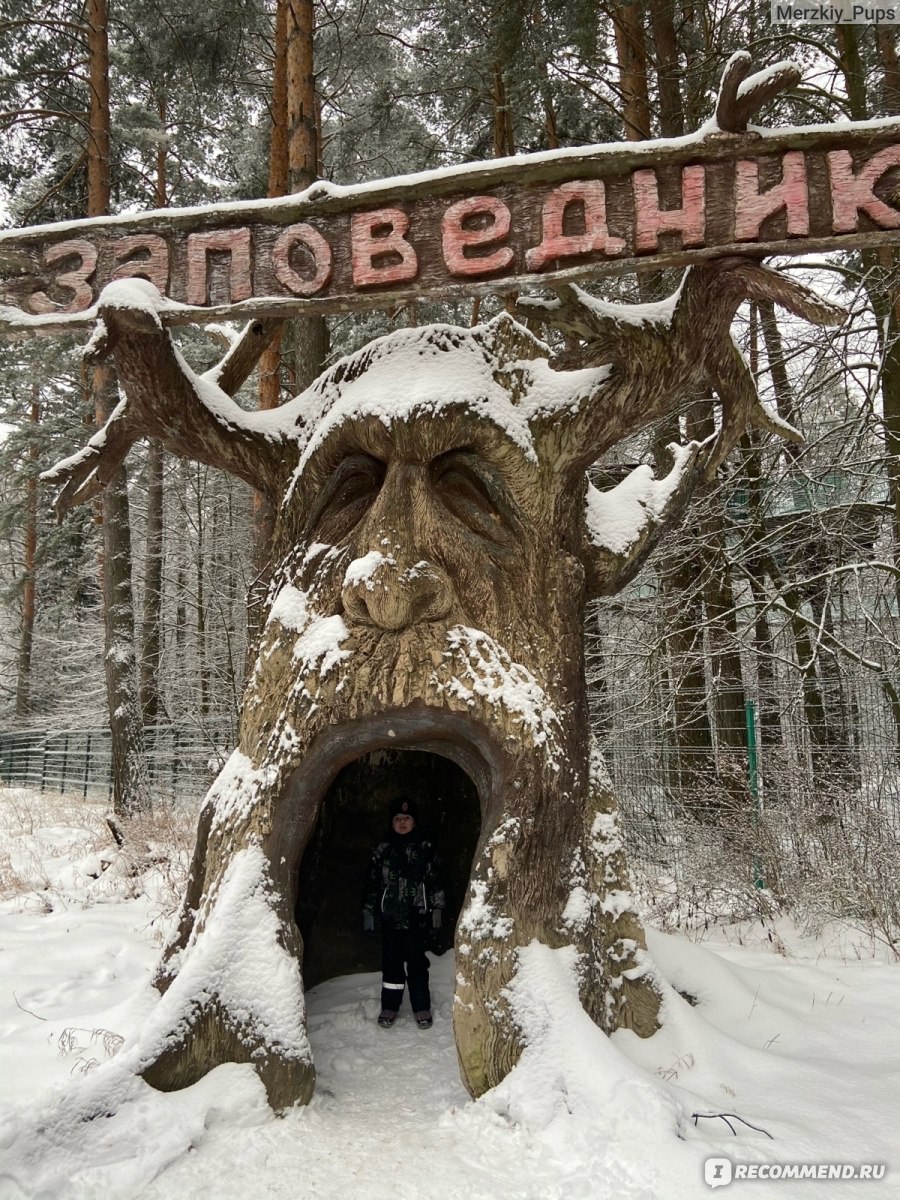 ФГБУ «Приокско-Террасный государственный заповедник», Серпуховской район фото