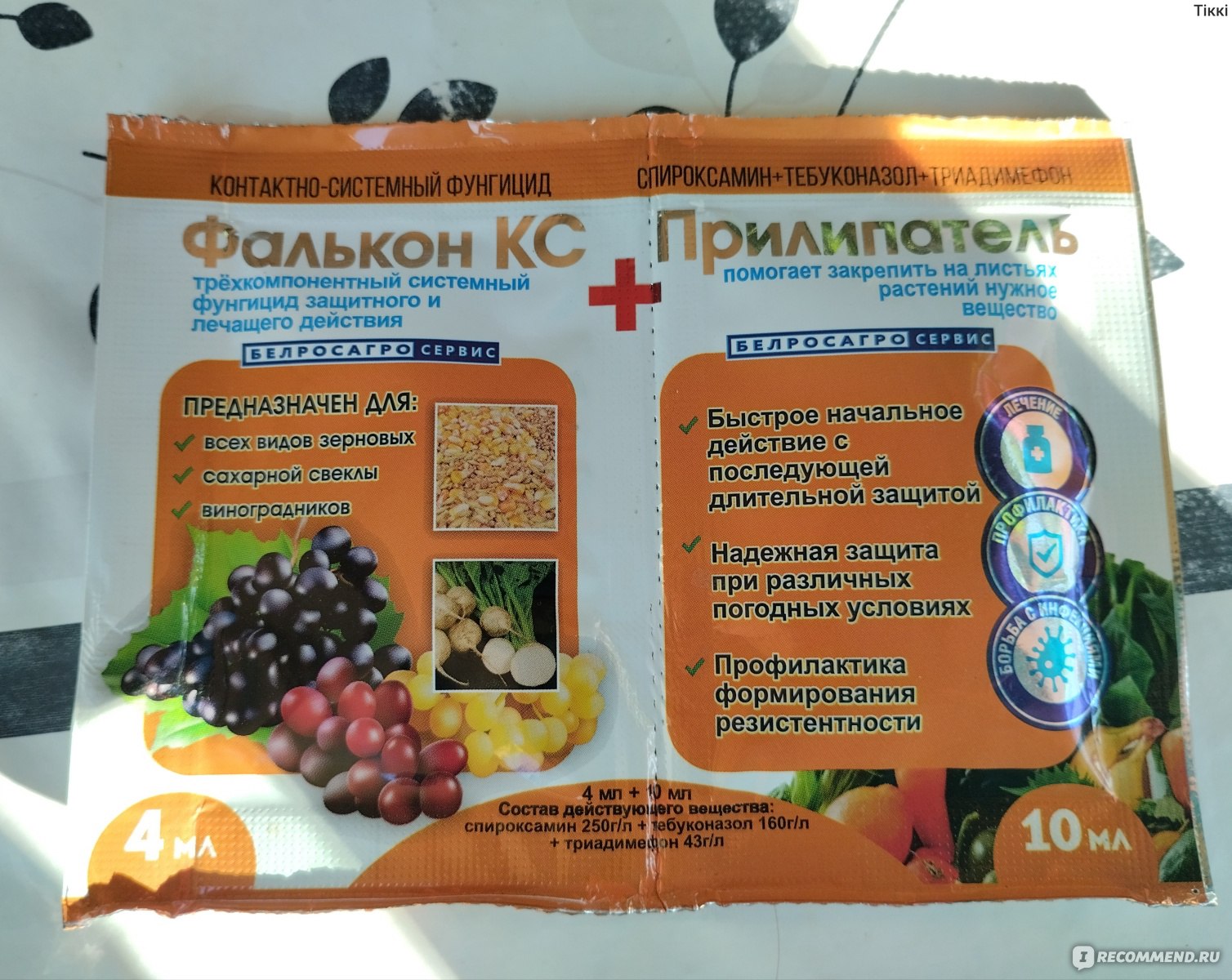 Фалькон фунгицид инструкция по применению для винограда