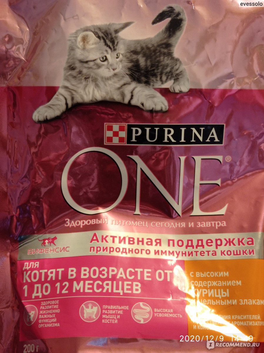 Корм для кошек PURINA ONE JUNIOR с курицей для котят 1-12 месяцев -  «Идеальный прикорм для котят.» | отзывы