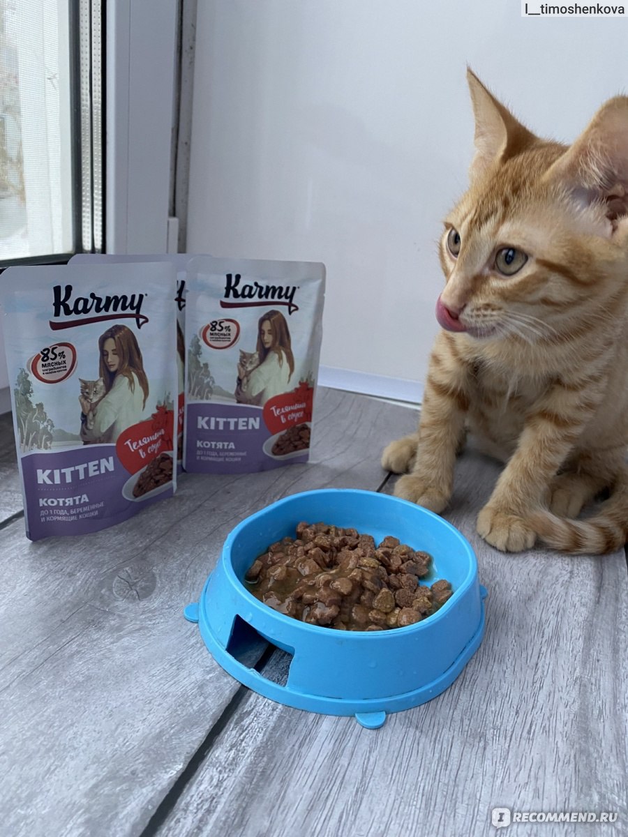 Корм для кошек Karmy KITTEN "Телятина в соусе" Котятя до 1 года ...