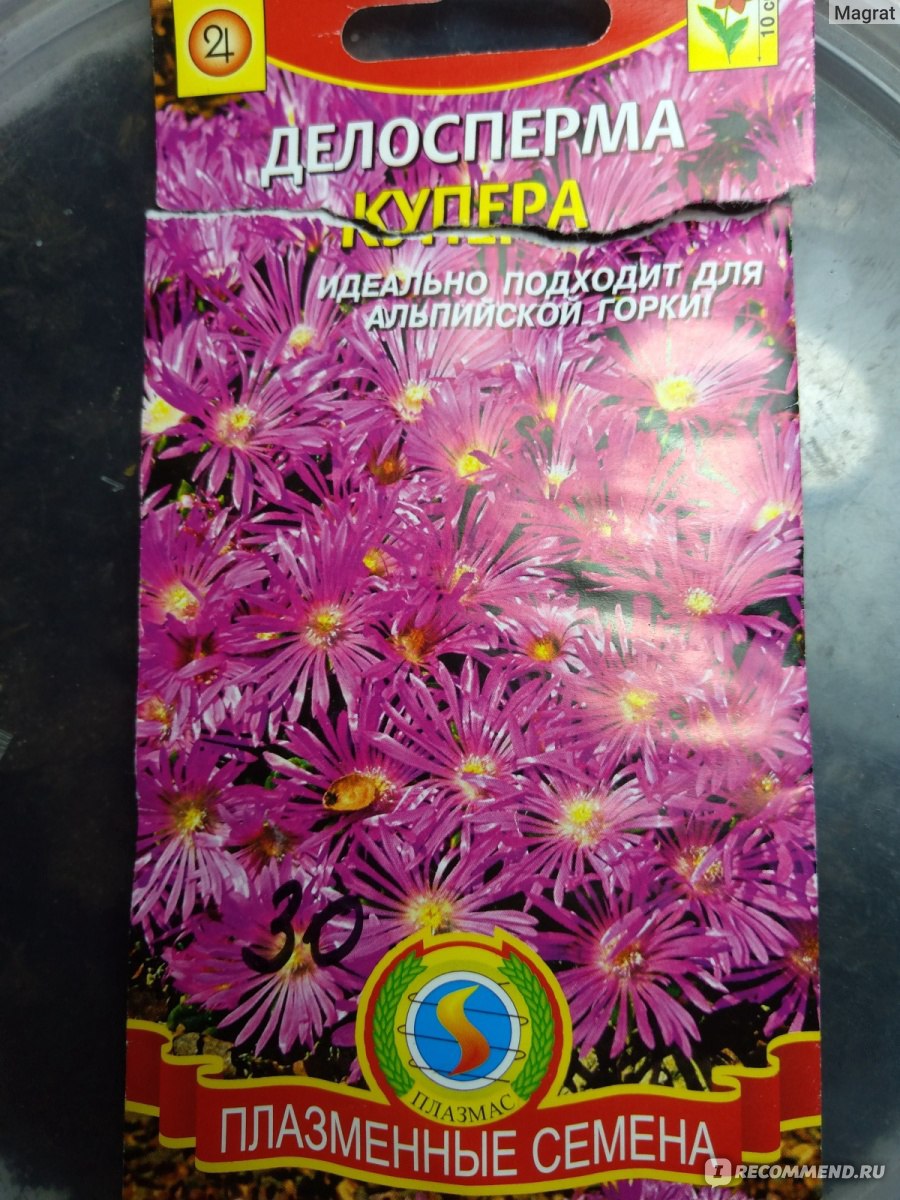 Делосперма (Delosperma)