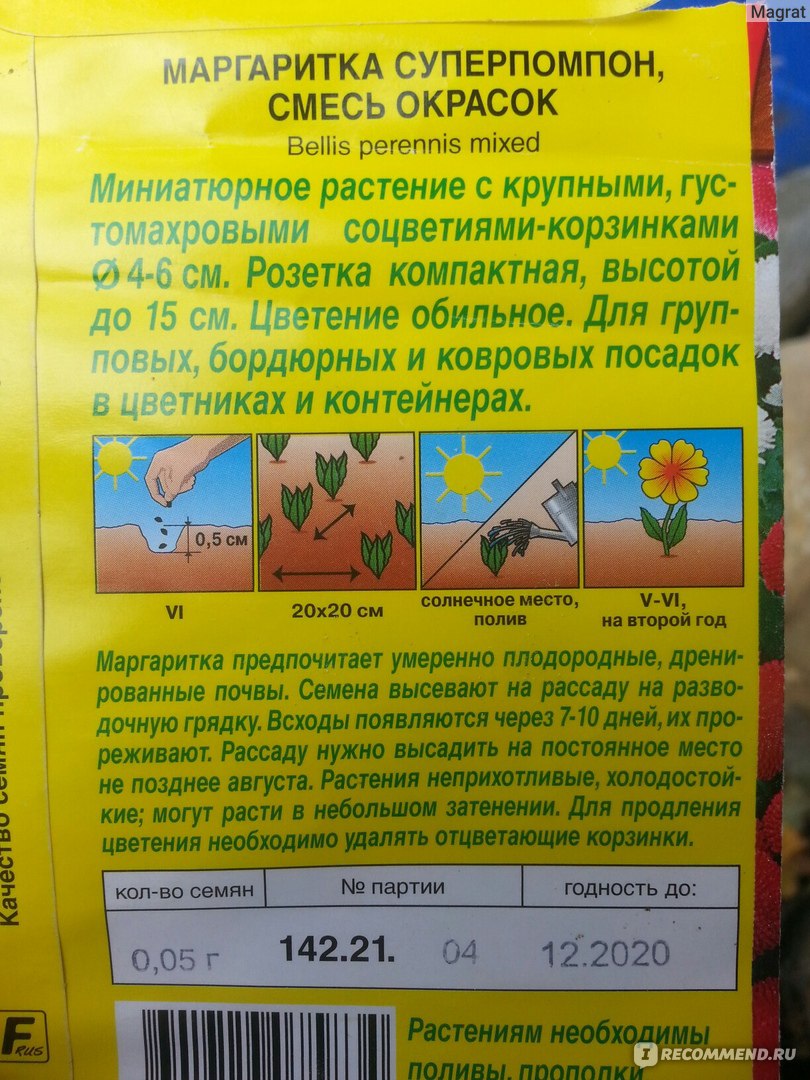 Семена АЭЛИТА Маргаритка Суперпомпон Смесь окрасок - «Не помпон. Не супер.  И не особо разнообразная смесь. Но я довольна!» | отзывы